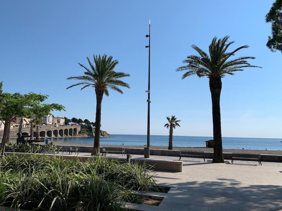 Superbe Appt Vue Mer Climatise Banyuls-sur-Mer Exterior photo
